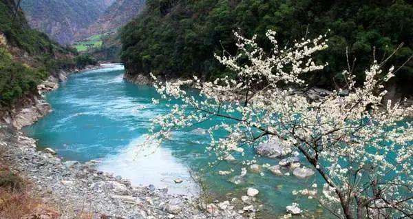 古墓丽影：崛起